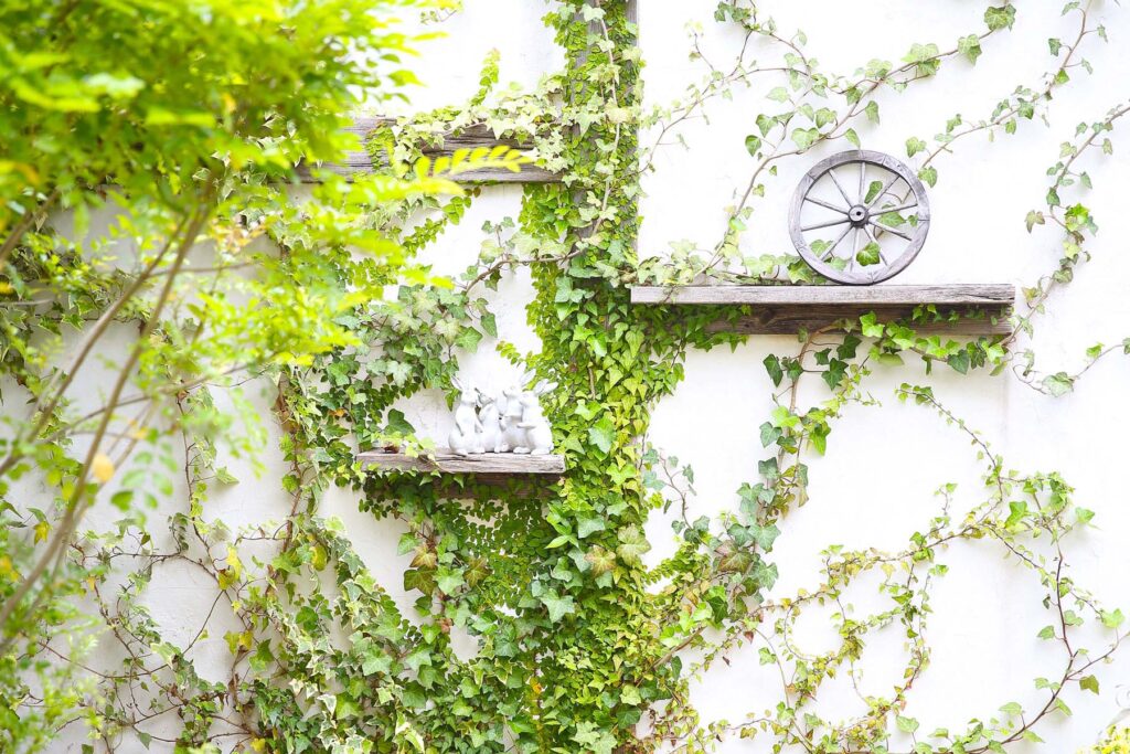 一軒家貸切で芝生やツタのグリーンのガーデンに囲まれたリゾート＆ナチュラルな白い塗り壁や古材のあるフォトウエディングにも最適な東京都世田谷区の撮影スタジオエコロ